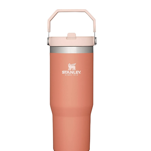 Tan neutral 40oz tumbler with handle,Women's Christmas Gift, Stanley D