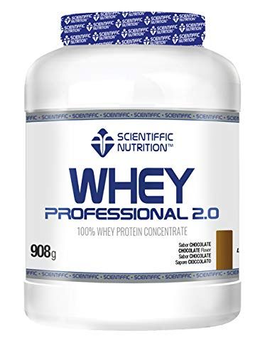 Chocolate Flavored Professional Whey Protein
