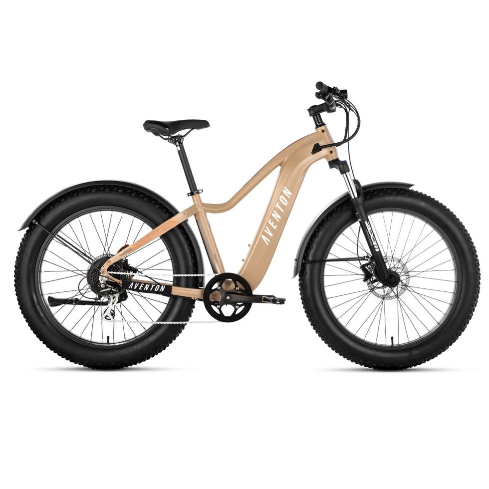 Aventure E-Bike