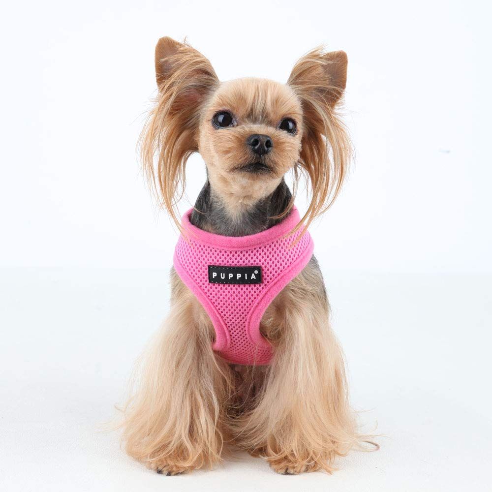 Best harness hot sale for chihuahua