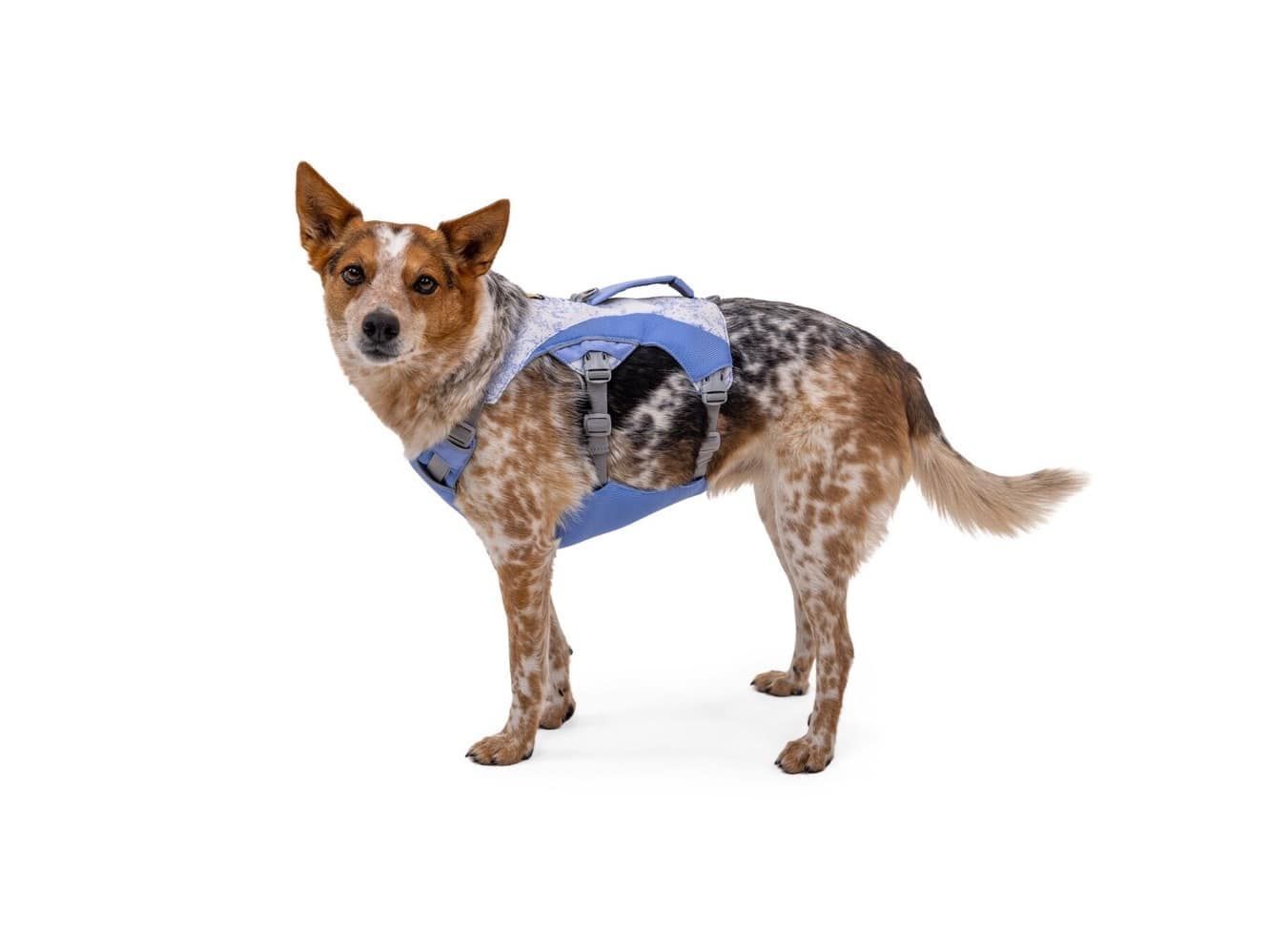 Aesthetic sales dog harness