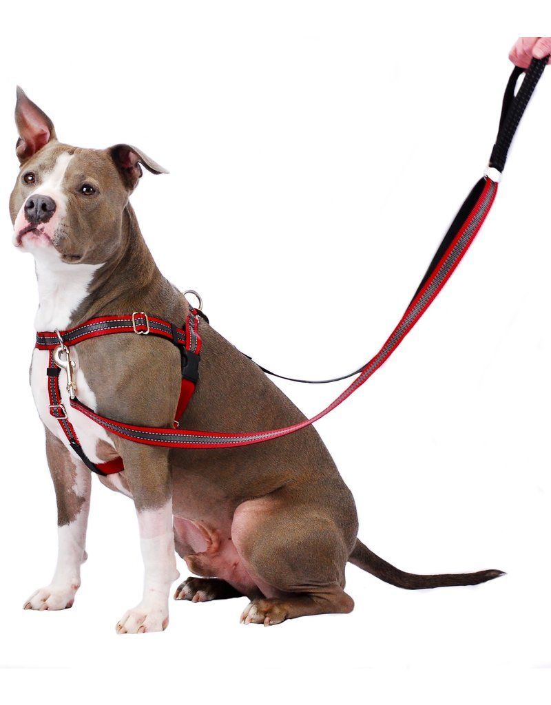 How to put on 2 hounds design outlet harness