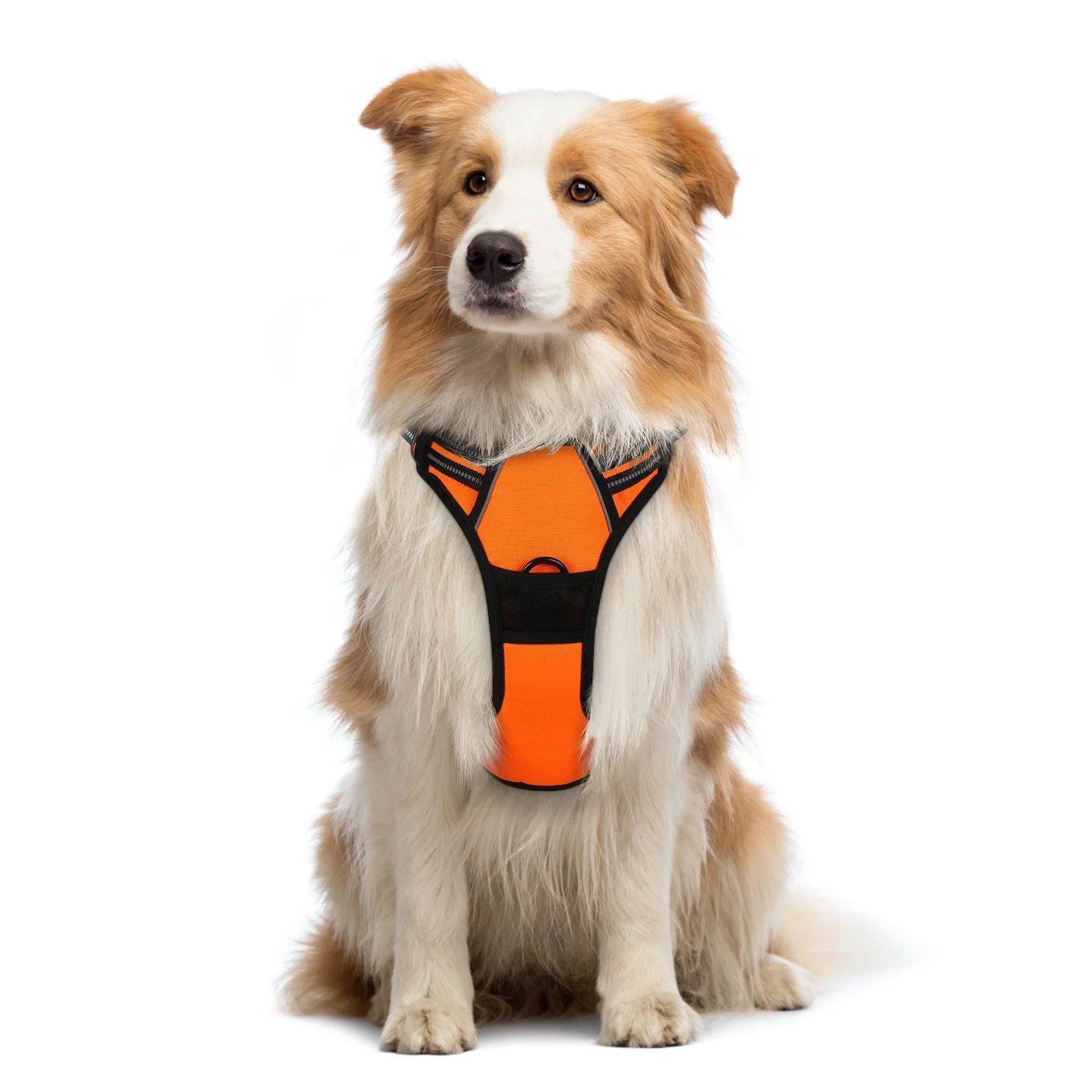 11 Best Dog Harnesses of 2023 Tested and Reviewed