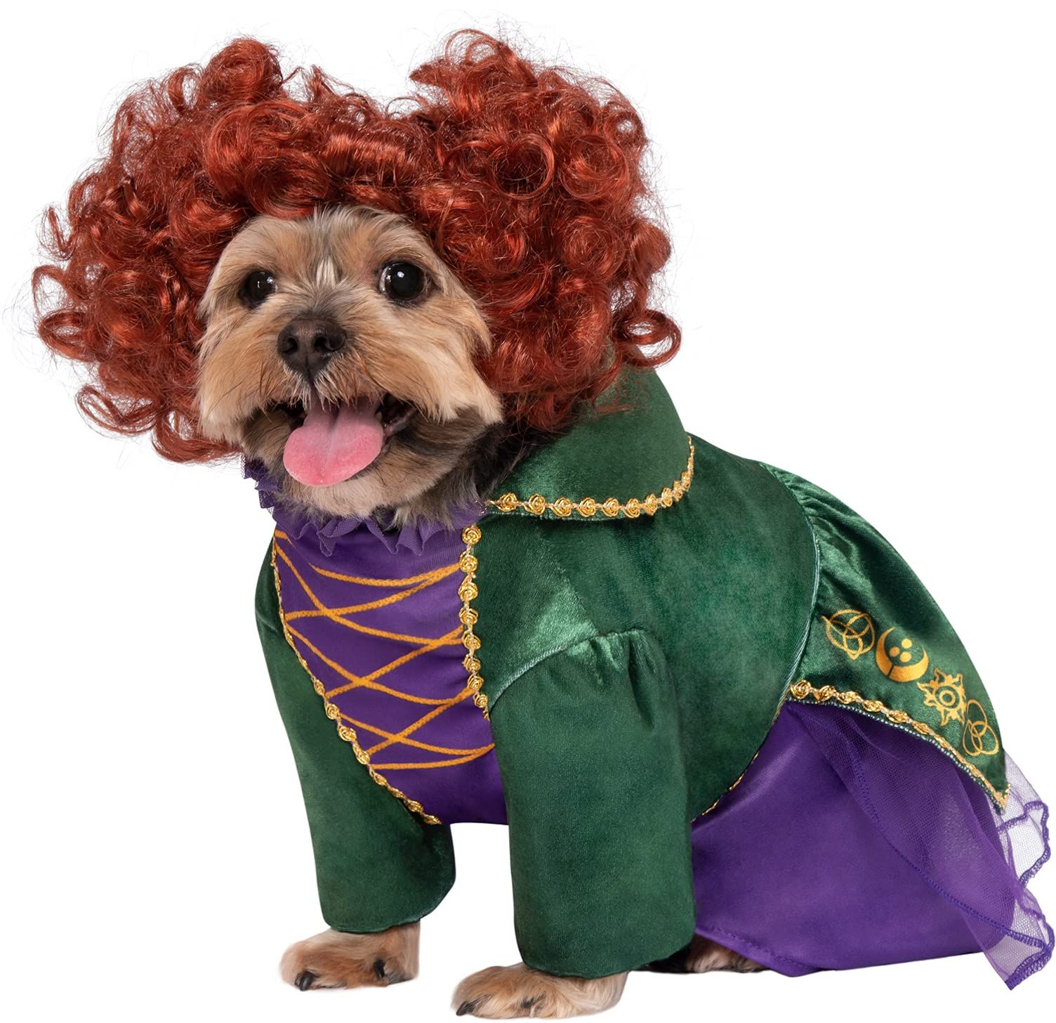 Funny costumes for clearance dogs