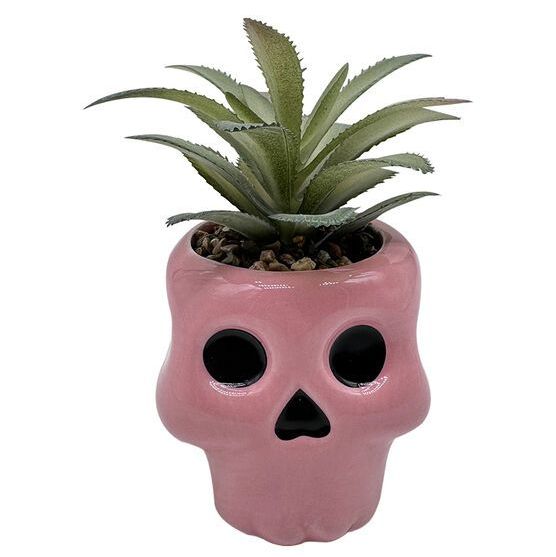 5" Halloween Succulent in Pink Skeleton Planter