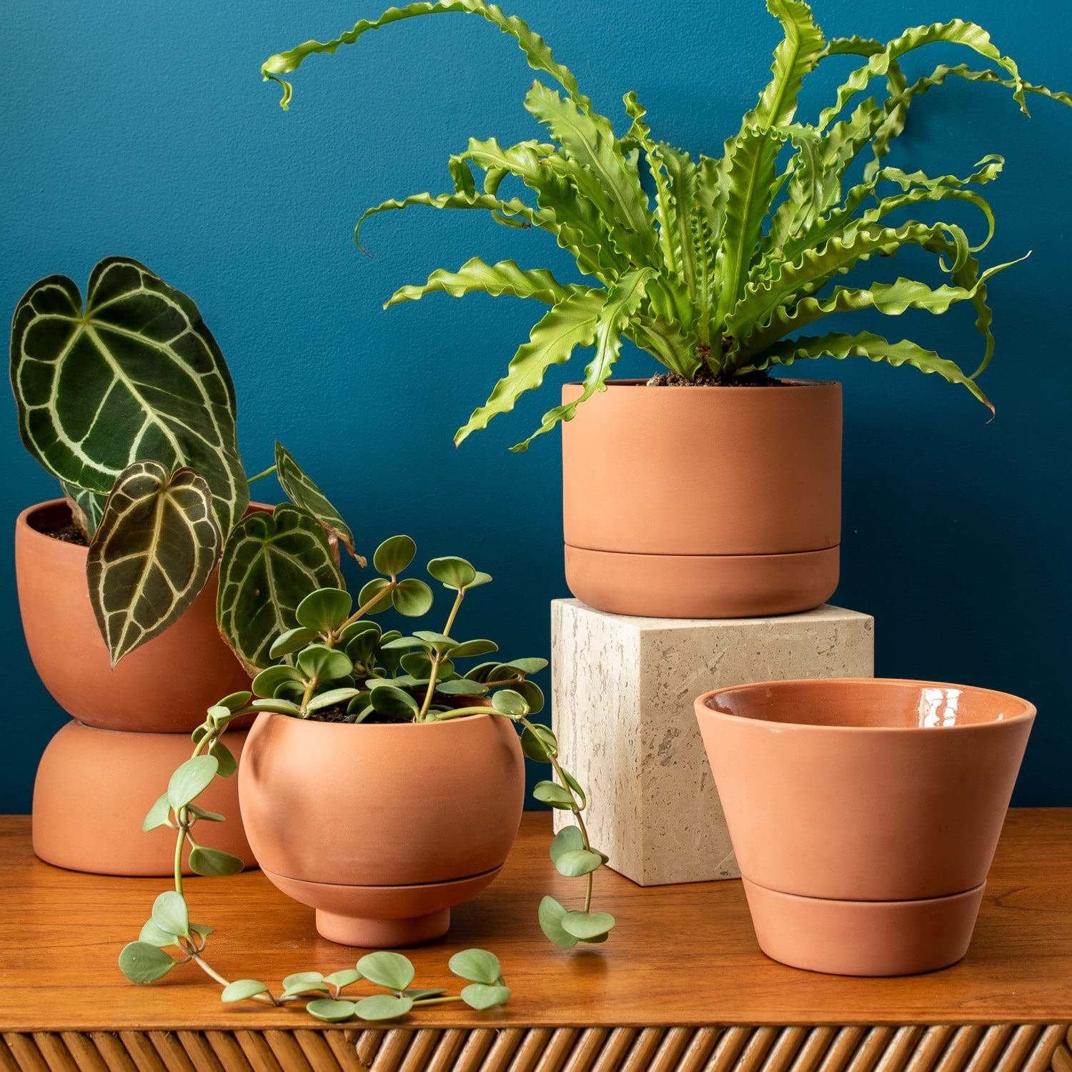 Ceramic self deals watering pots