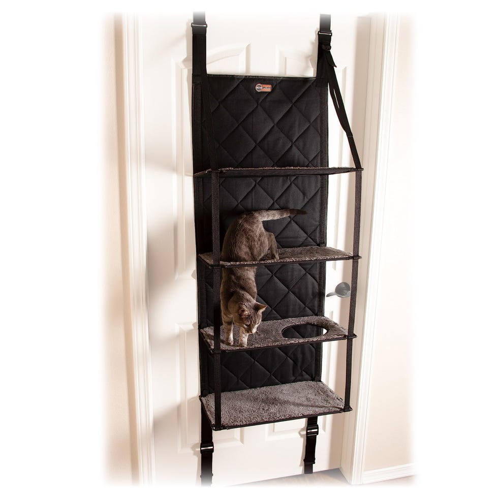 Door Mounted Cat Climber Cat Wall 