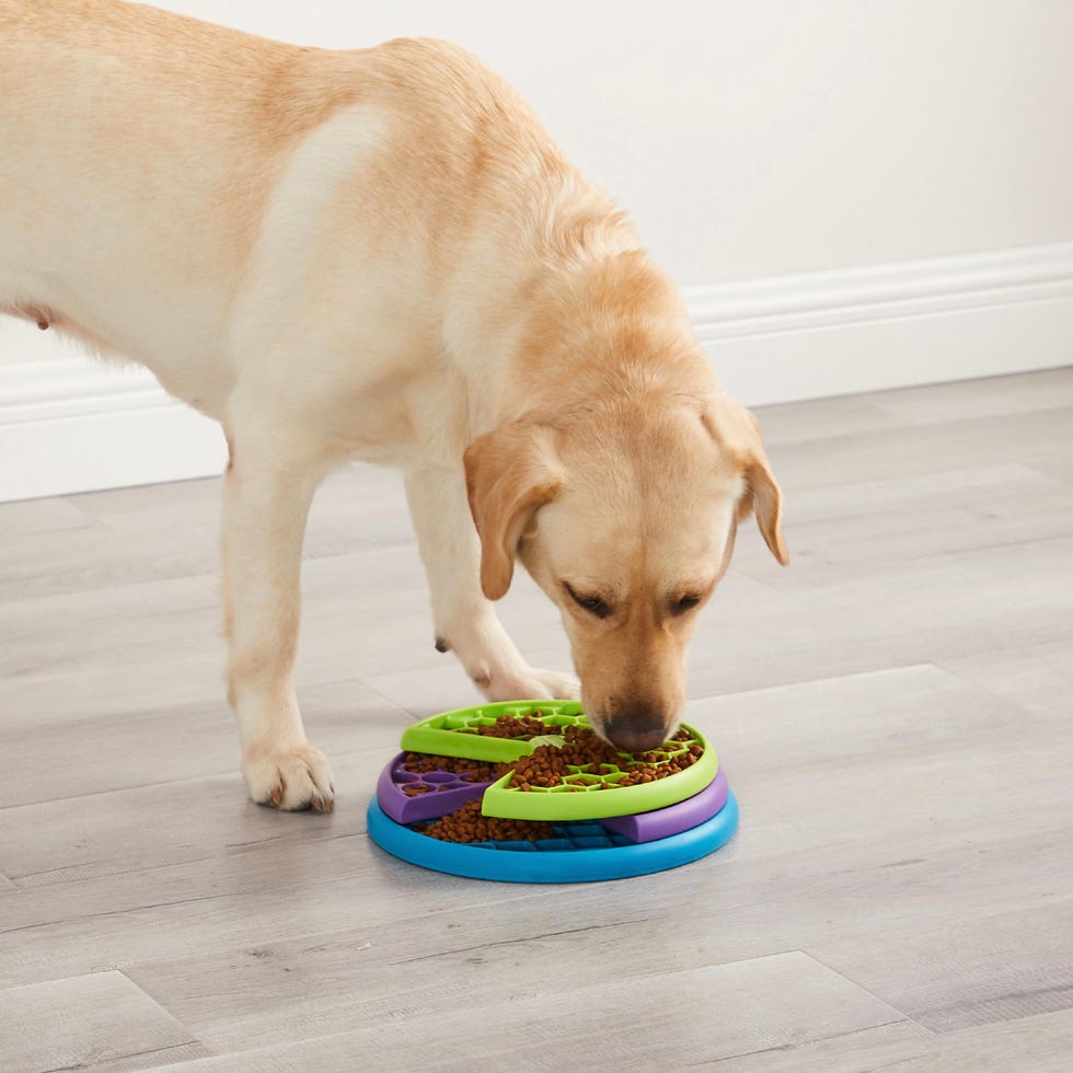 Lickin' Layers Interactive Dog Puzzle