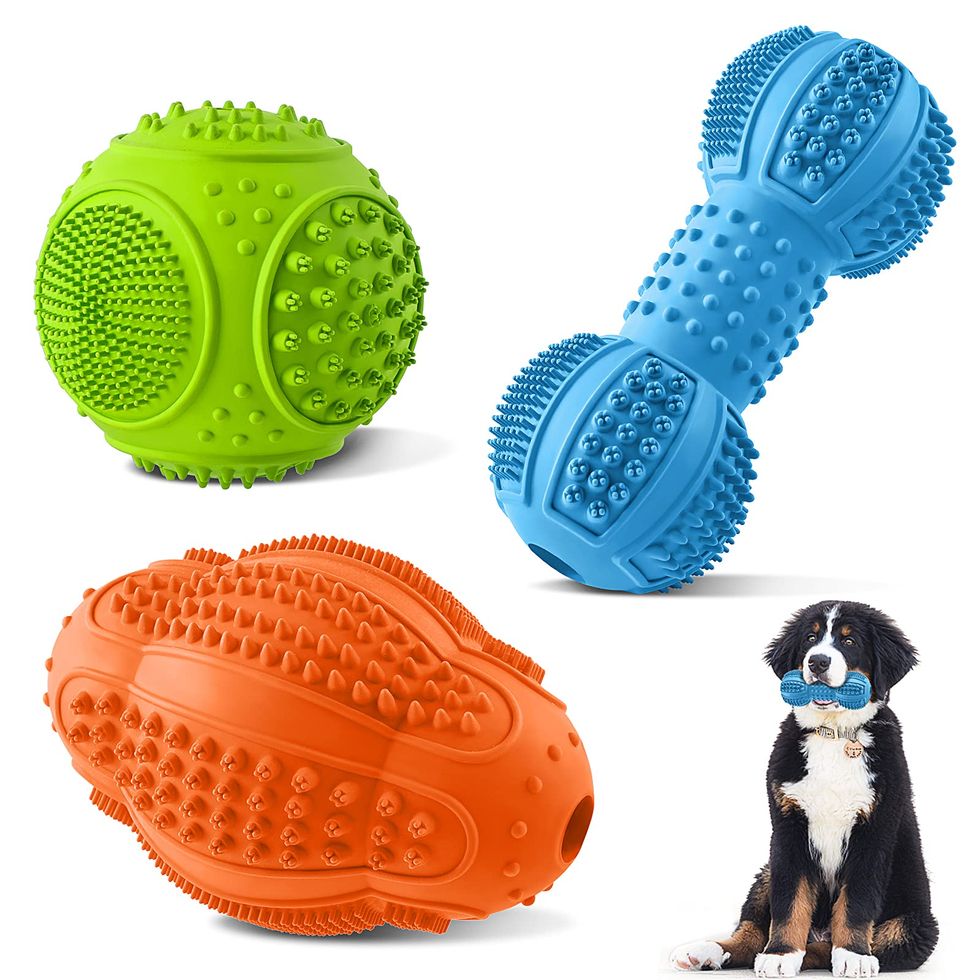 The 15 Best Dog Puzzle Toys That Keep Your Pup Engaged · The Wildest