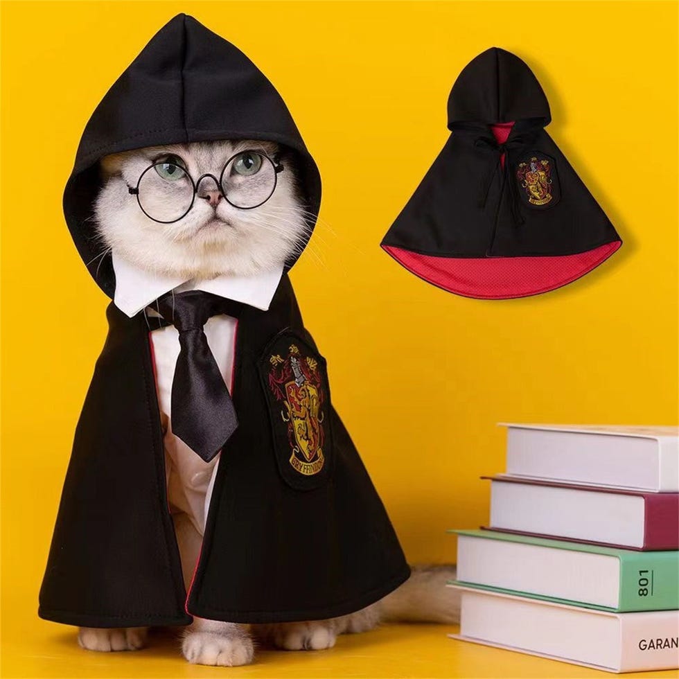 Hogwarts Magic Pet Cloak