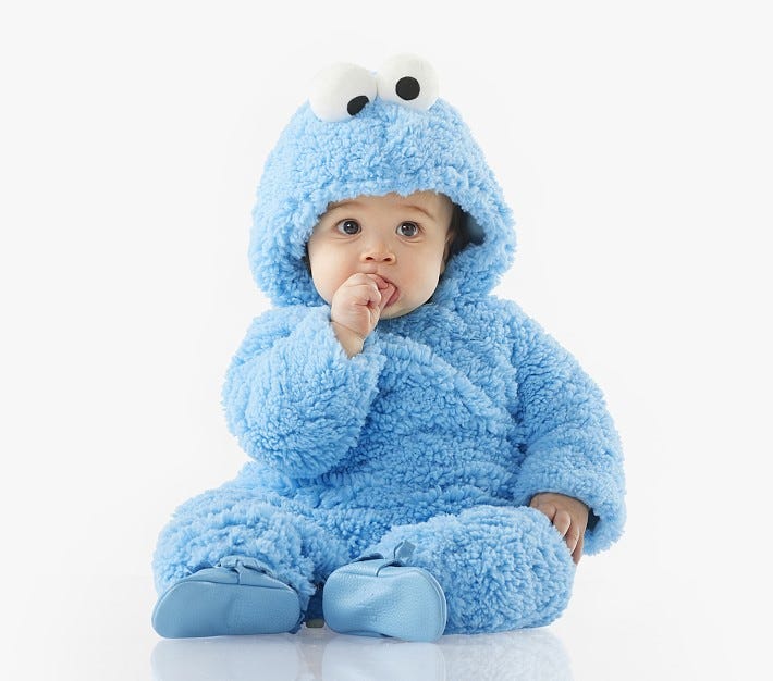 Cookie Monster Costume