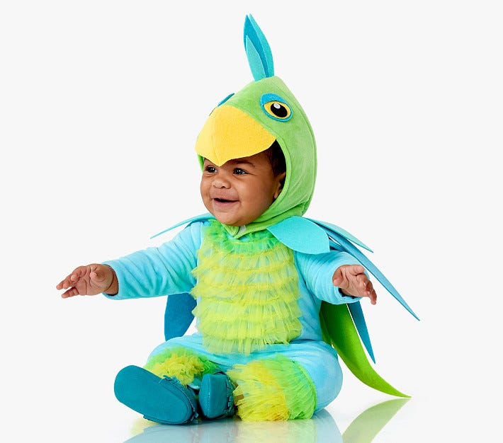 Parrot Costume
