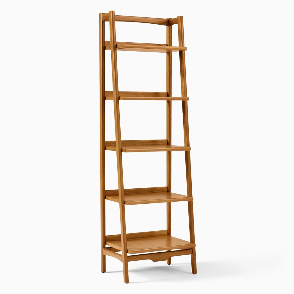 Mid-Century Ladder Bookshelf