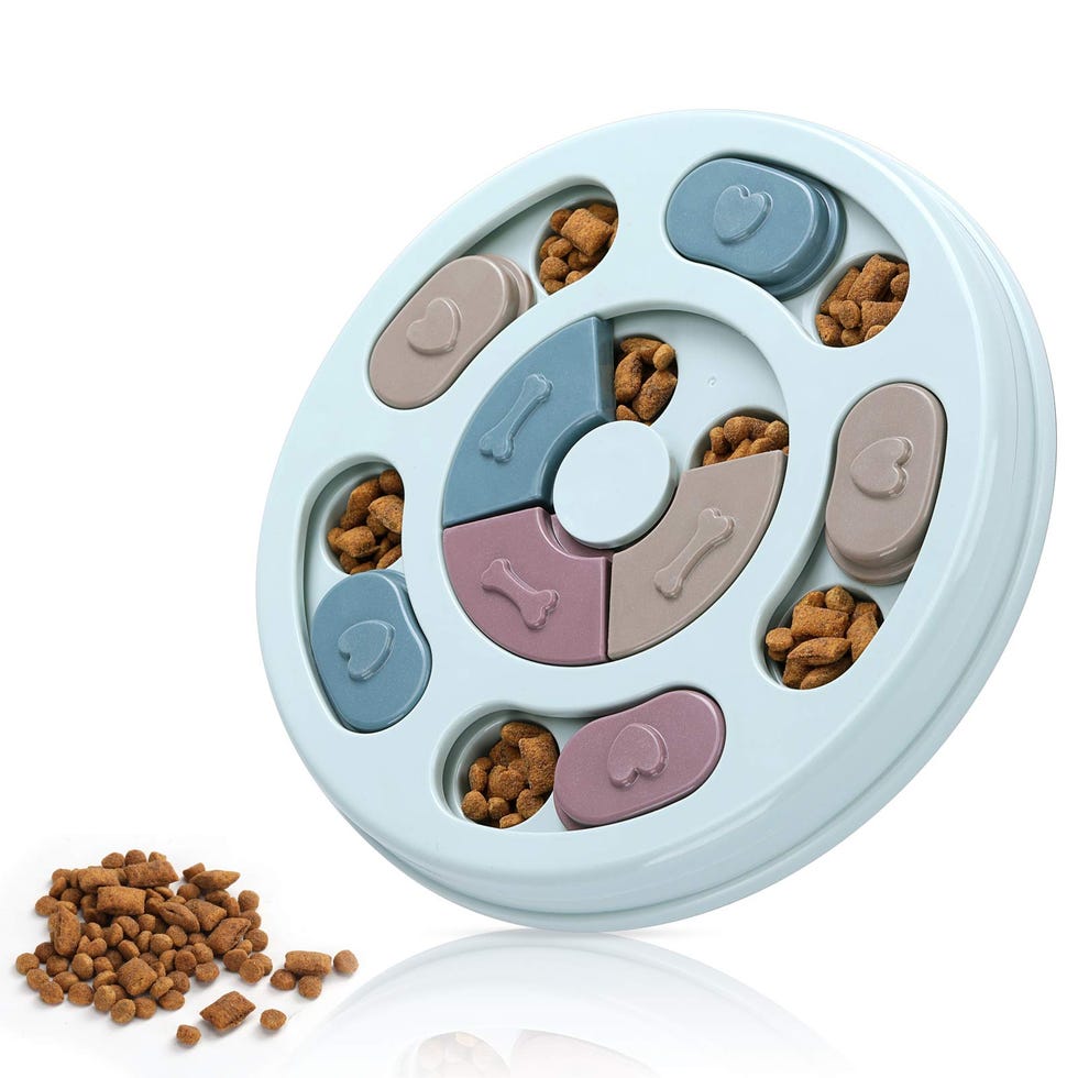 Dog Food Puzzle Feeder 