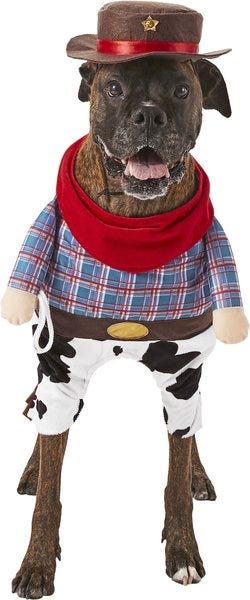 Frisco Walking Cowboy Dog & Cat Costume