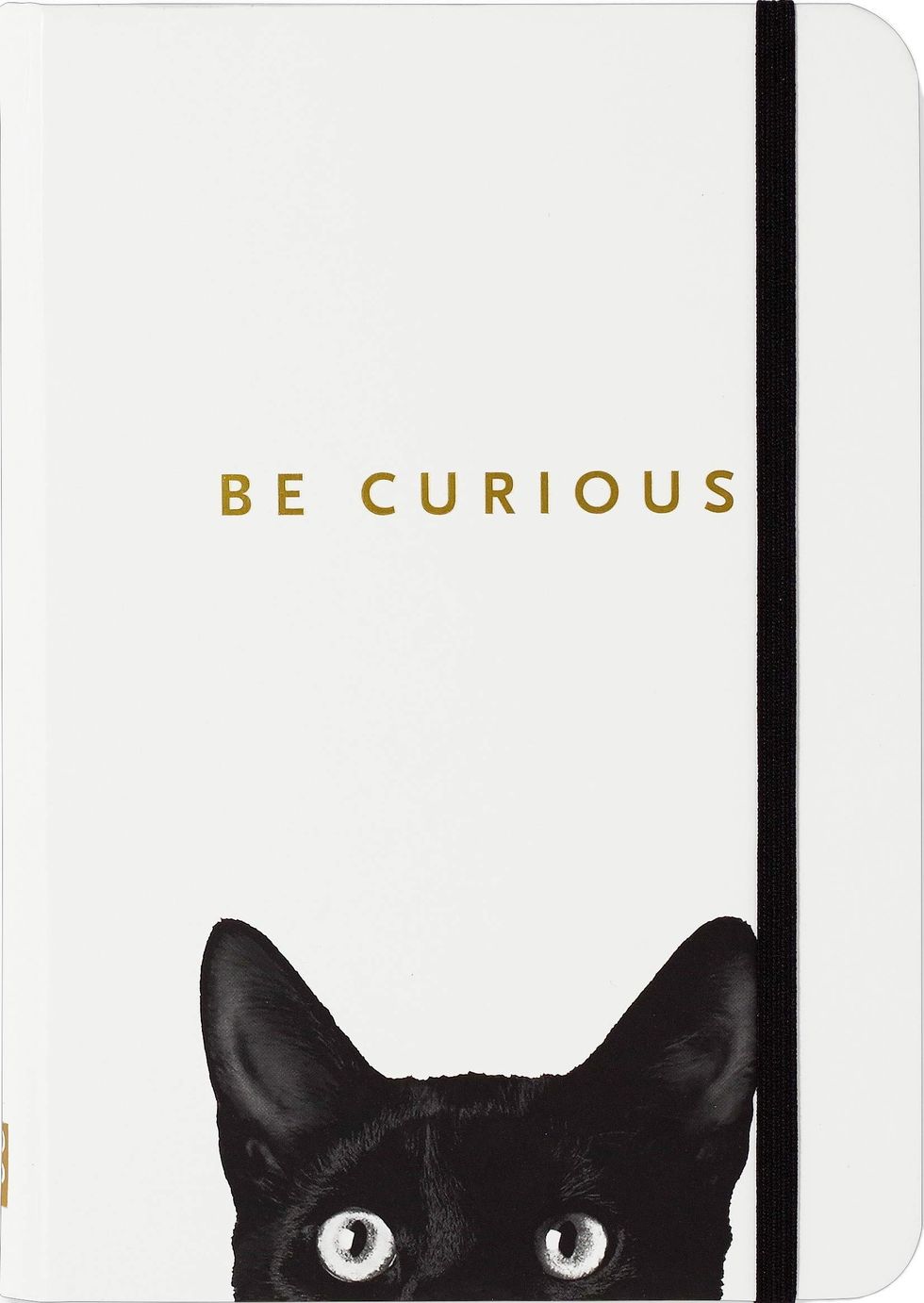 ew people: meowy funny black cat lovers cover lined notebook/ journal/cat gifts  for girls 10 12 years old, 120 blank pages, 6*9 inches, Matte finish  cover.: : Publishing, FFH36: 9798685766427: Books