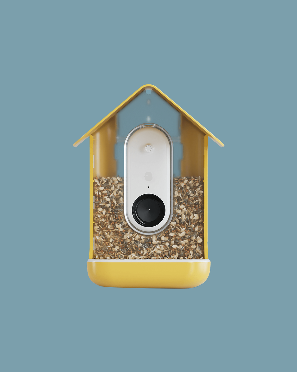 Bird Buddy camera-equipped bird feeder is 20% off