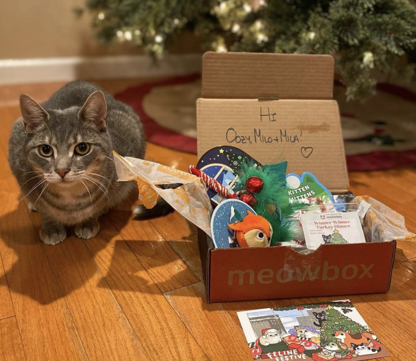23 Best Gifts for Cats and Cat Lovers