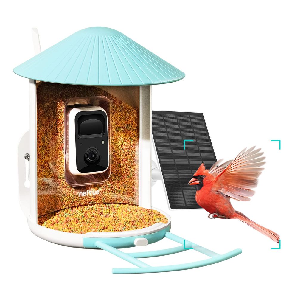 Birdfy Smart Bird Feeder with Camera