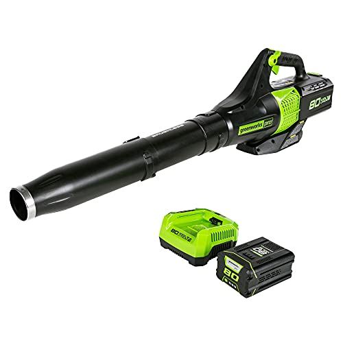 Has This Light-But-Powerful Greenworks 80V Cordless Leaf