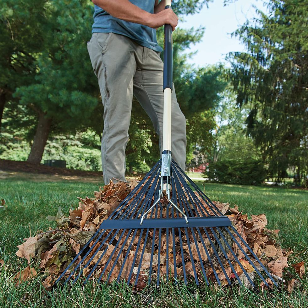 11 Affordable Leaf Rakes That Will Keep Your Lawn Looking Sharp