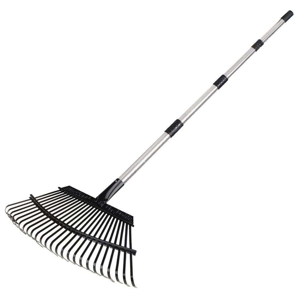 11 Best Leaf Rakes for Fall 2024: Shop Our Favorite Finds Now
