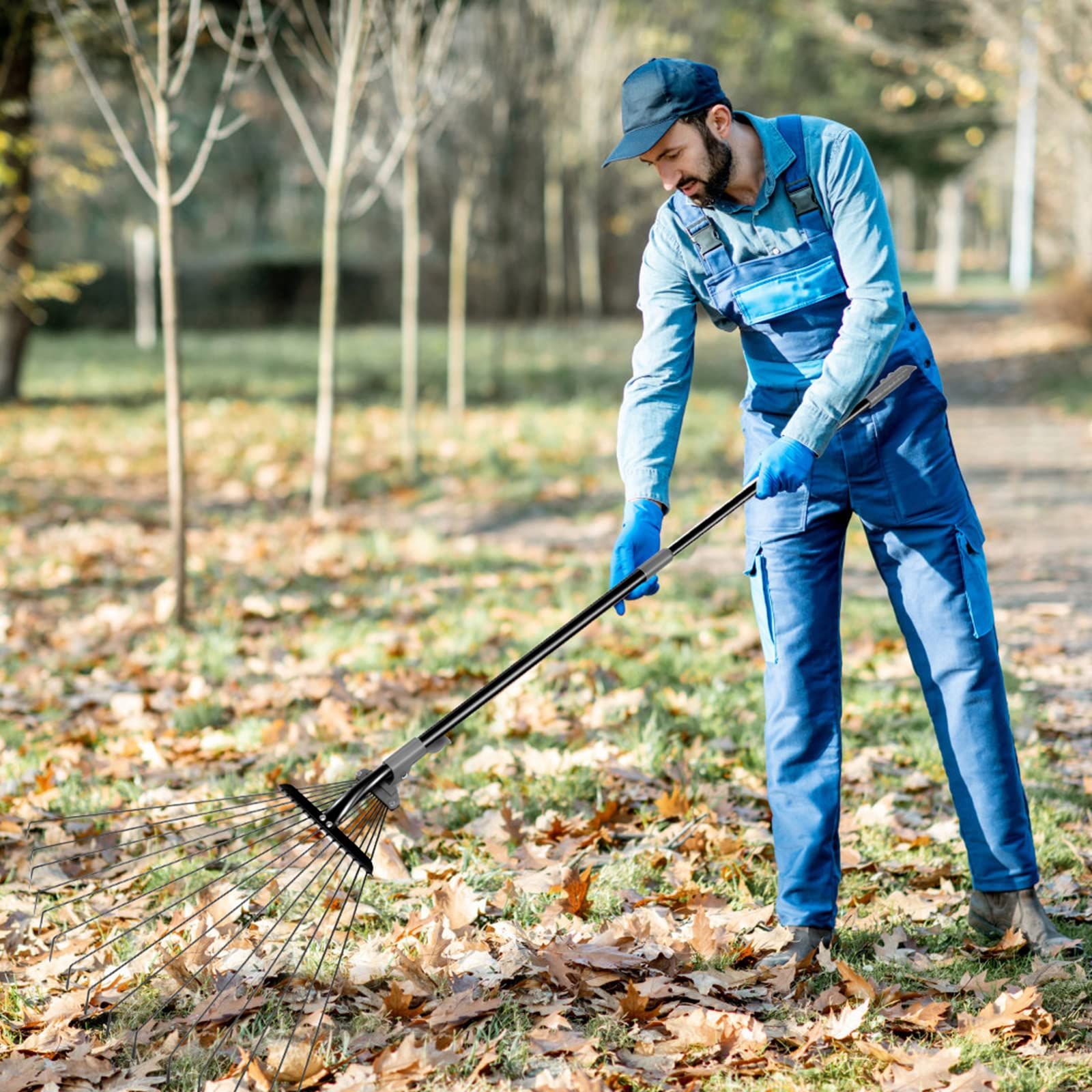 Best deals leaf rake