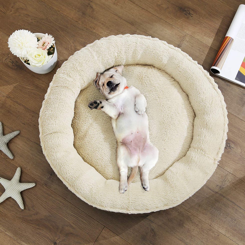 Cama para perros redonda gris