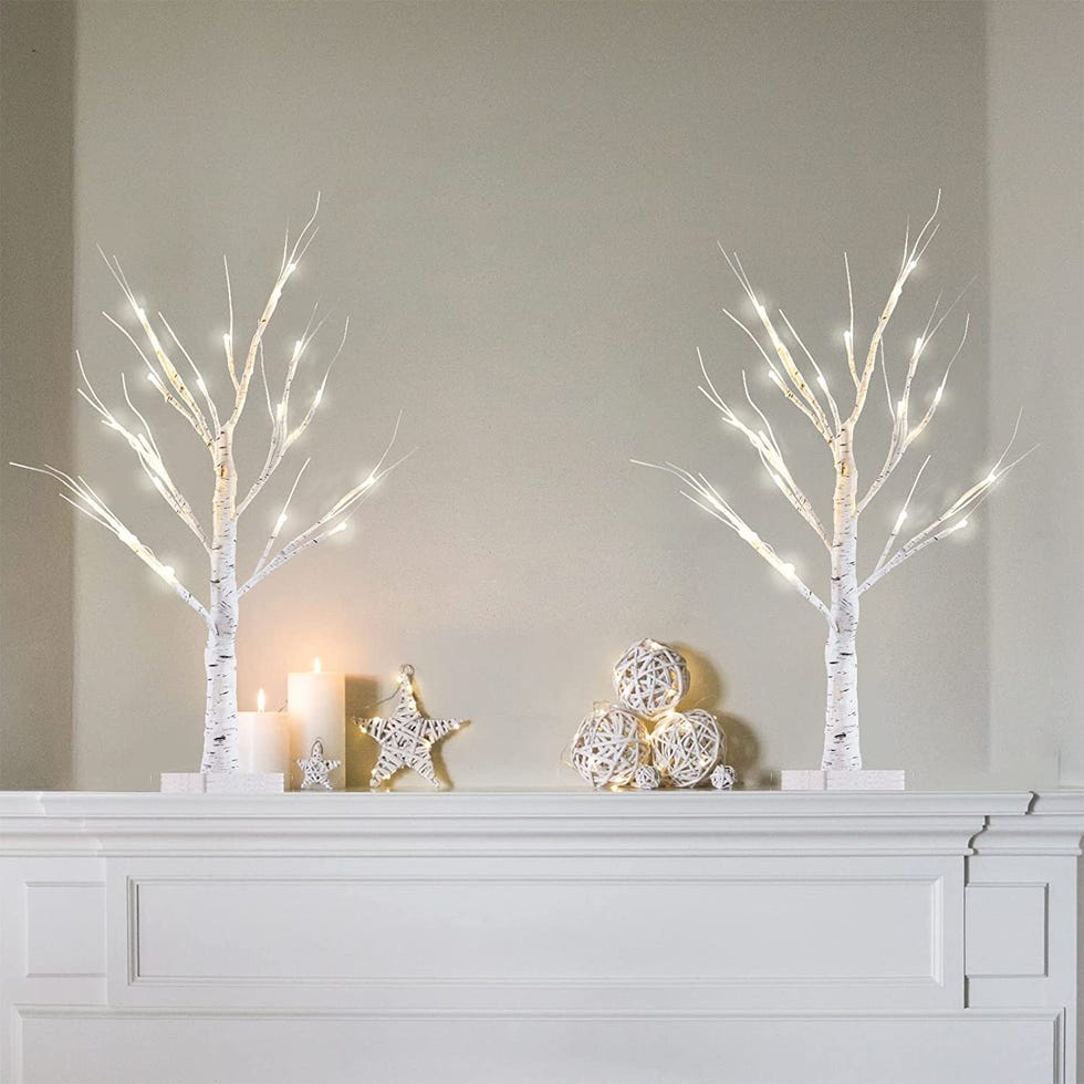 Birch Tree Lights