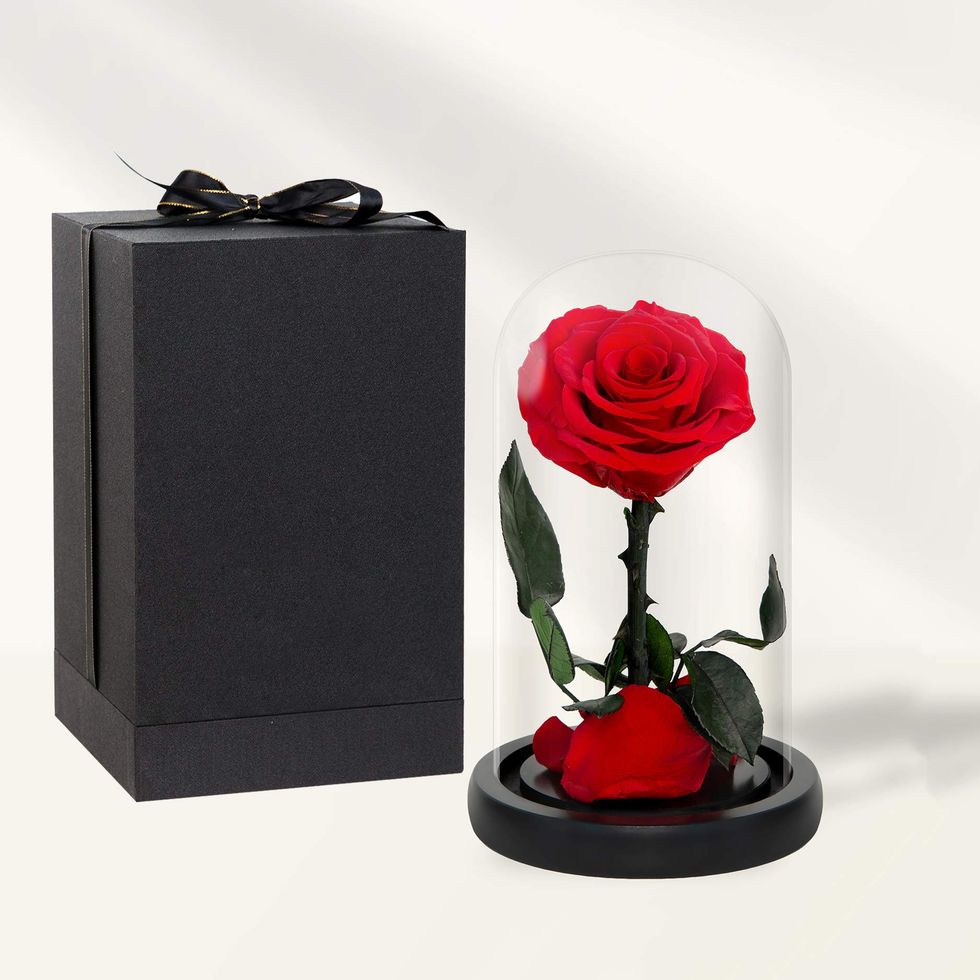 Preserved Roses in a Glass Dome 
