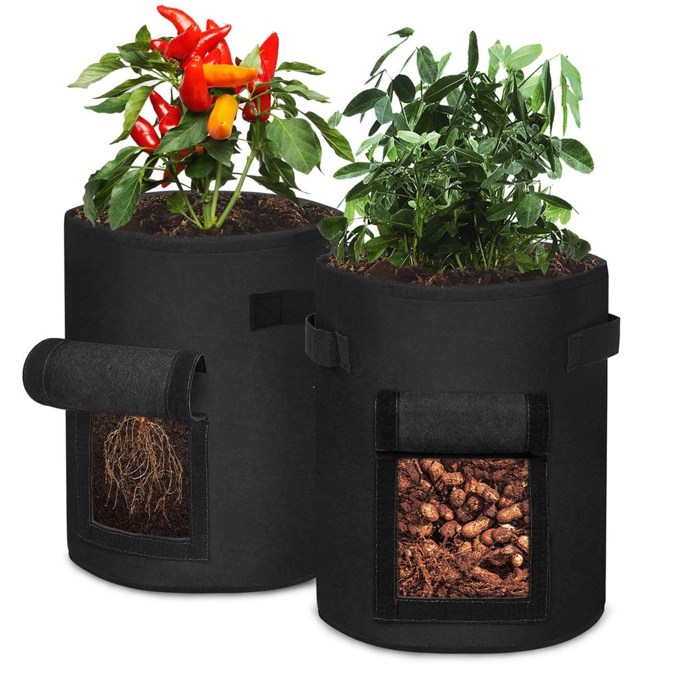 Bolsas para plantas frutas y verduras