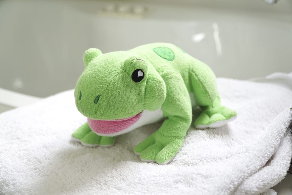 Bath Toy