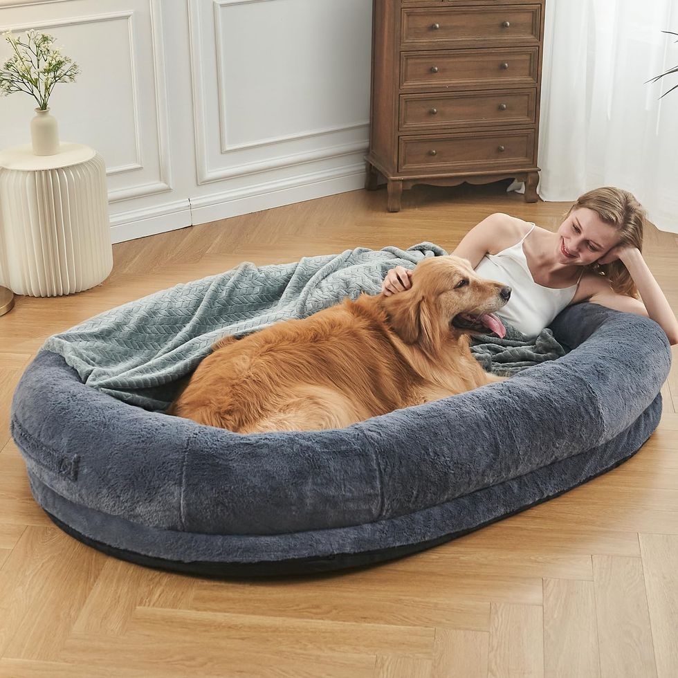 Human Dog Bed 