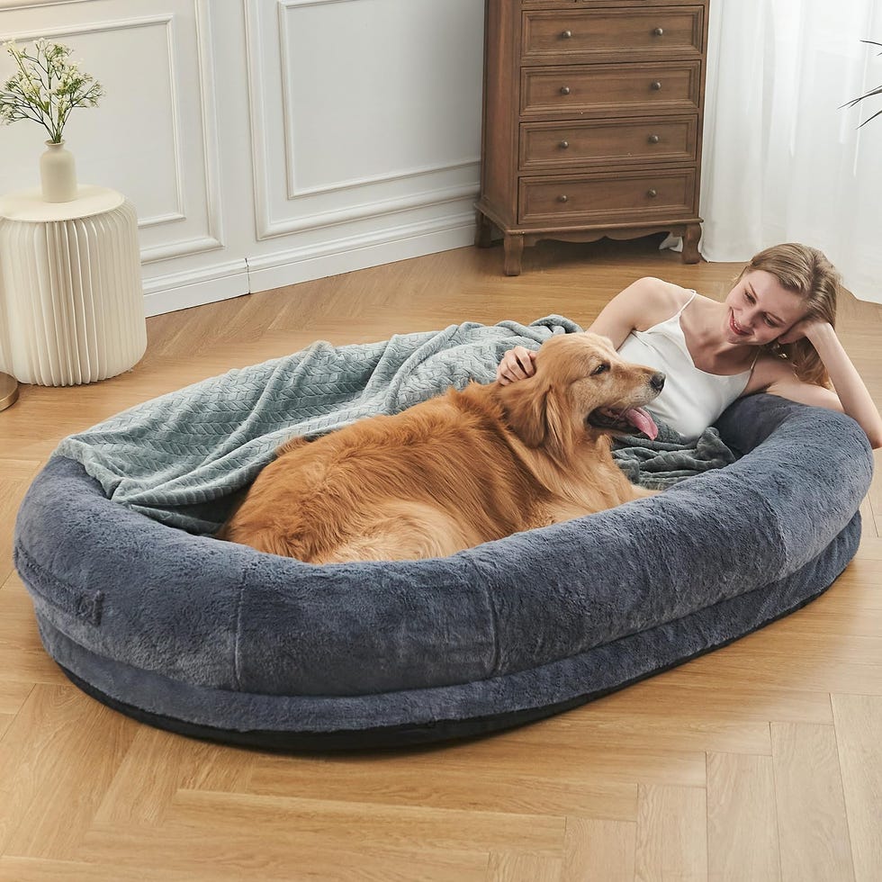 Human Dog Bed Human Dog Bed