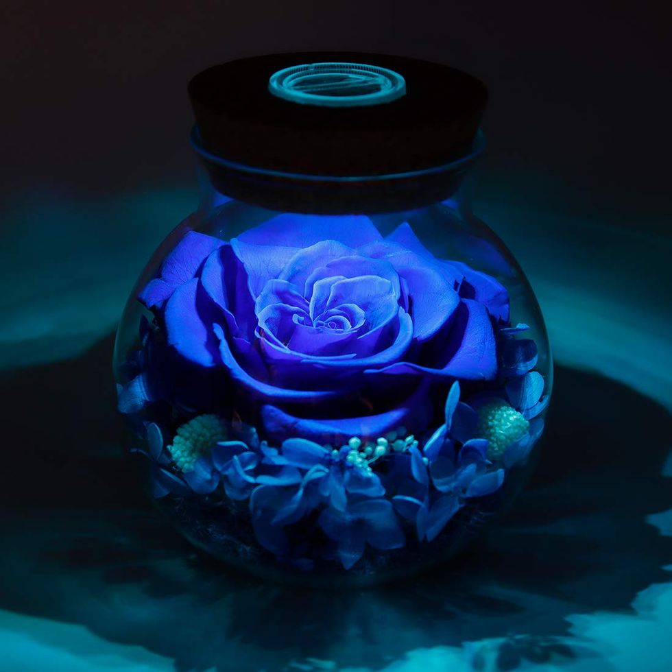 Preserved Roses With Mood Light 