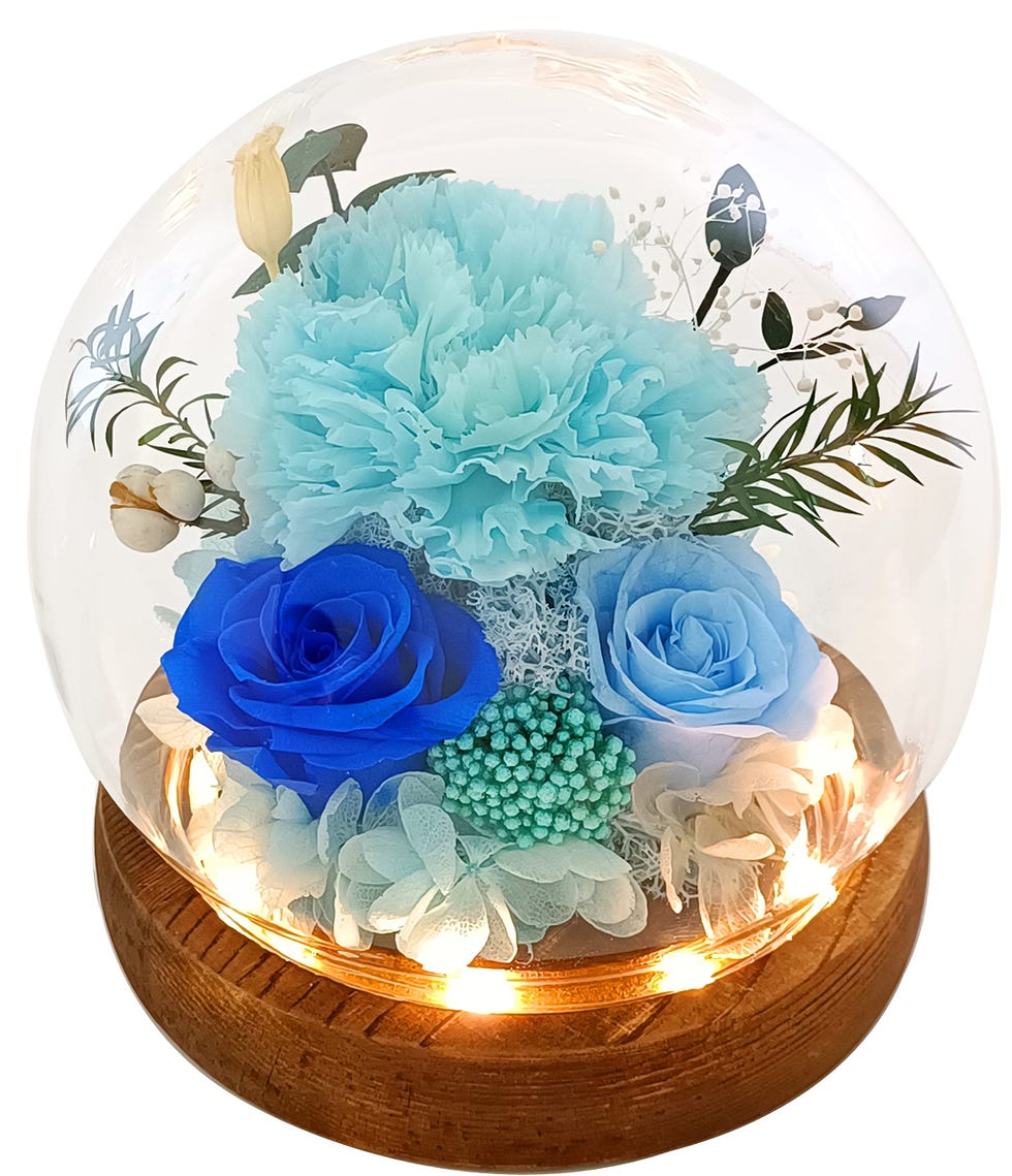 Preserved Flowers 