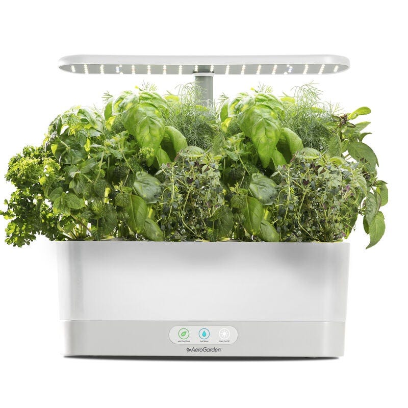 12 Best Indoor Herb Garden Kits of 2024, Tested by Experts