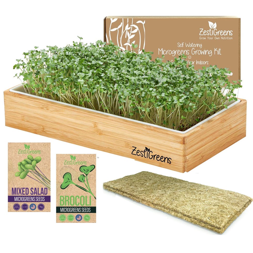 Microgreens Growing Kit