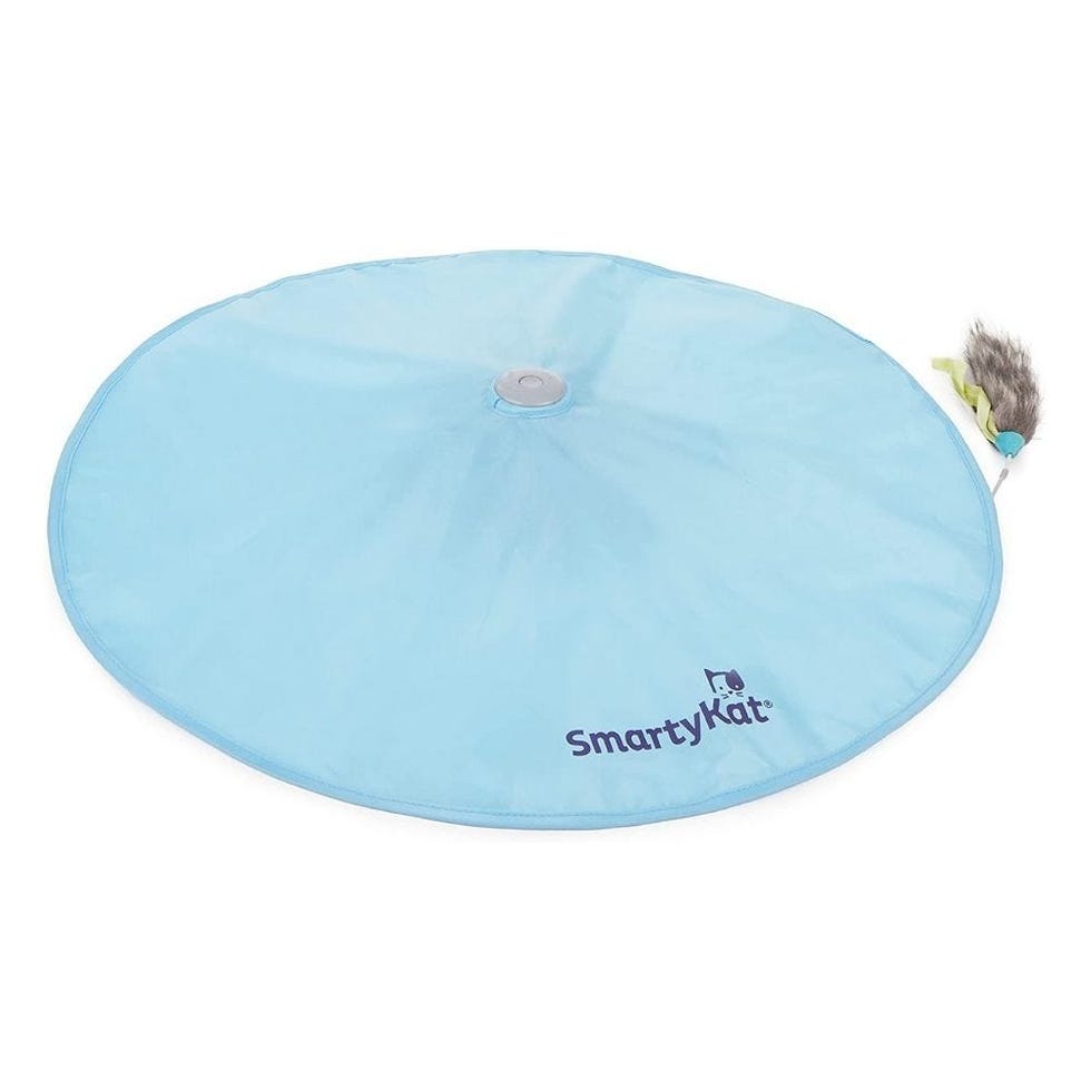Concealed Motion Cat Toy