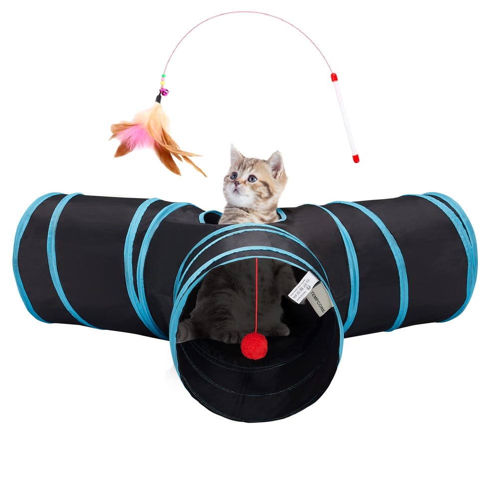 ETHICAL PET Fishing Rod & Reel Kitty Teaser Cat Toy, Color Varies