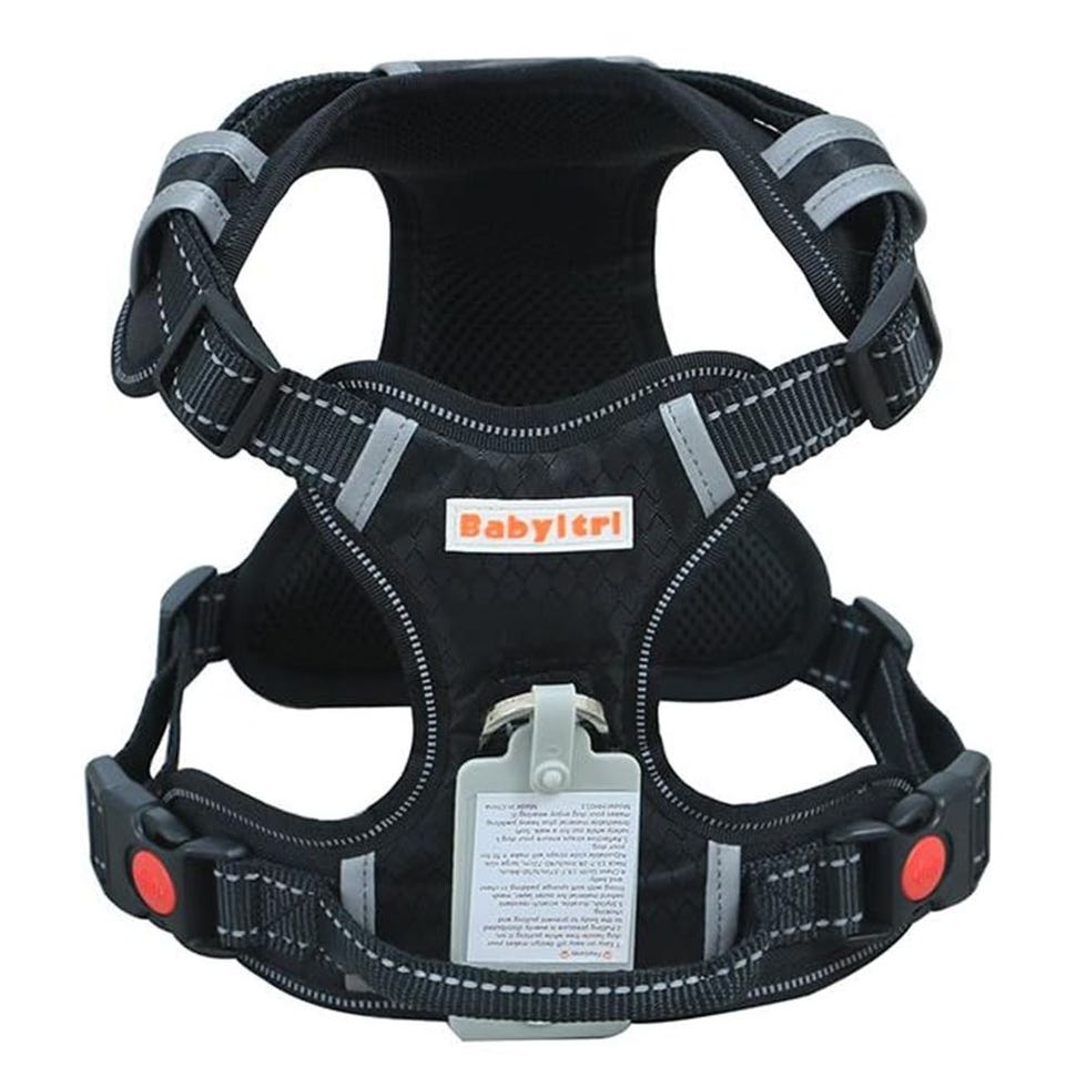 BABYLTRL Big Dog Harness 