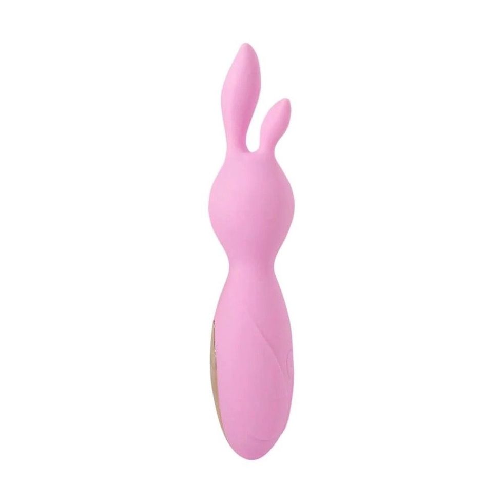 The Little One Clit Vibrator