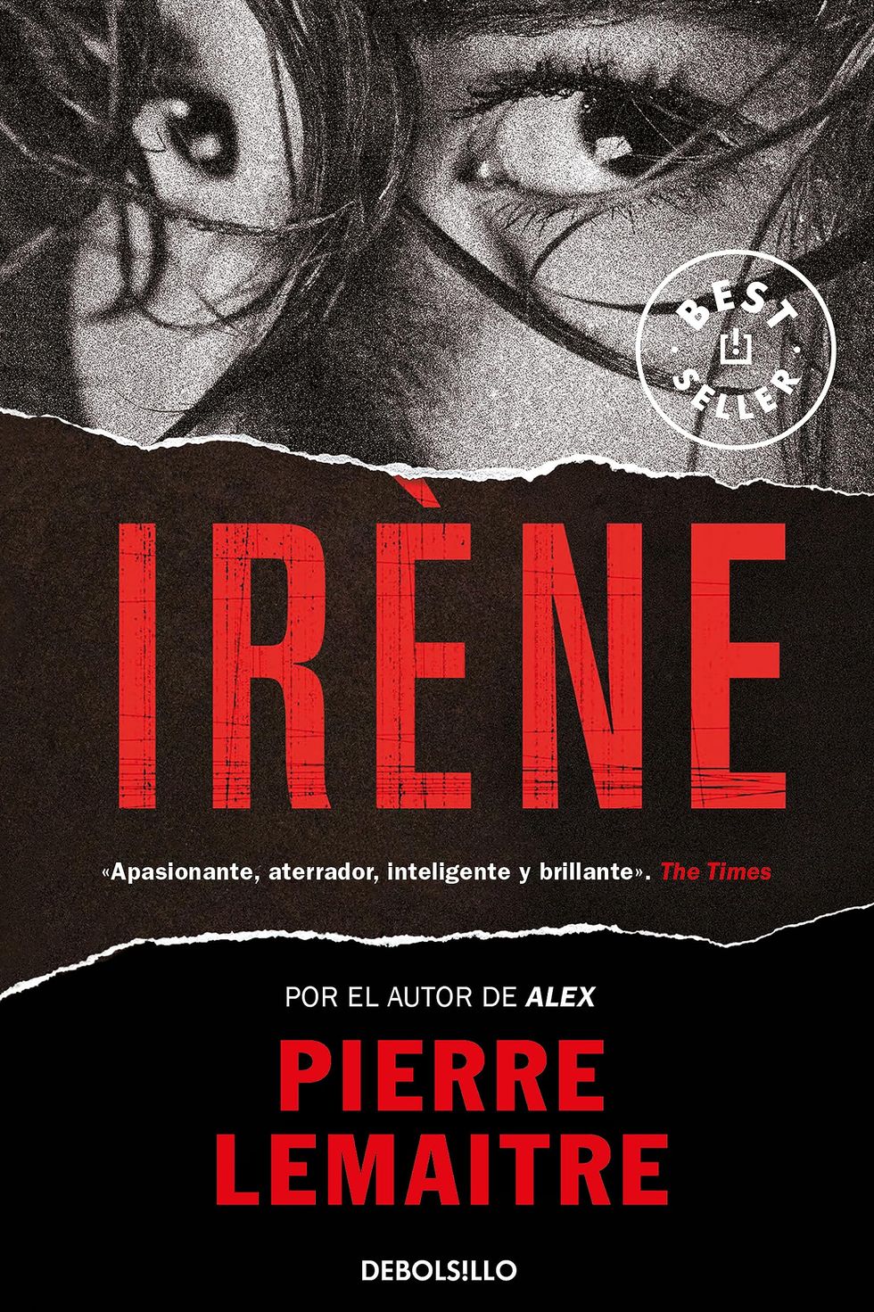 Irène (Un caso del comandante Camille Verhoeven)