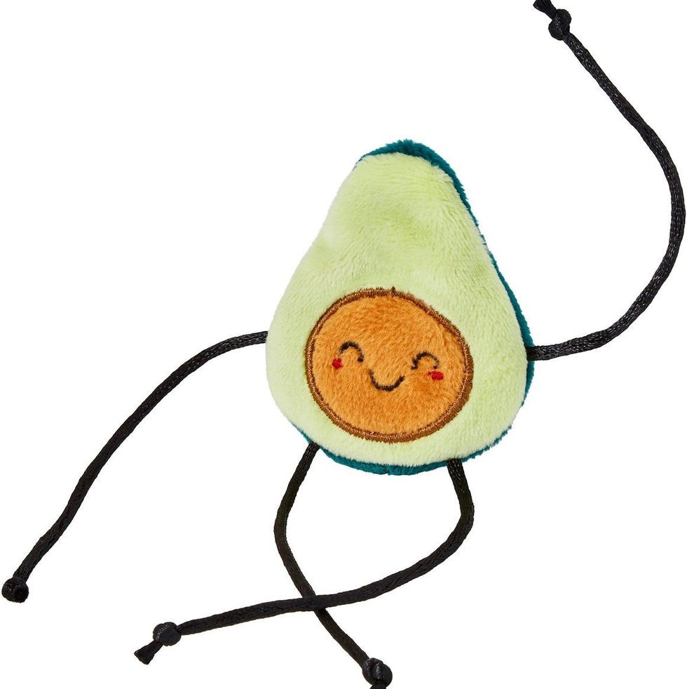 17 Best Cat Toys of 2024 17 Best Cat Toys of 2024