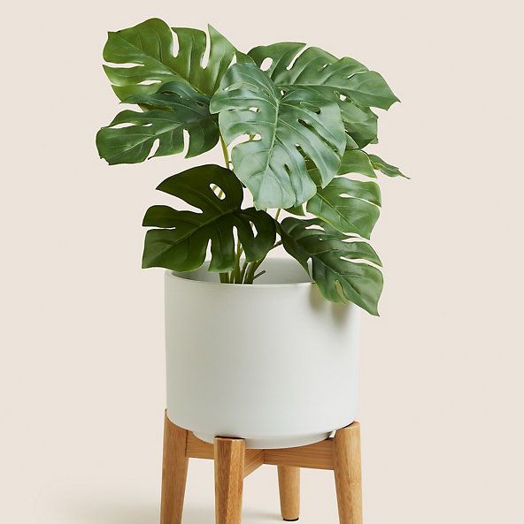Our Favorite Plant Pots and Stands
