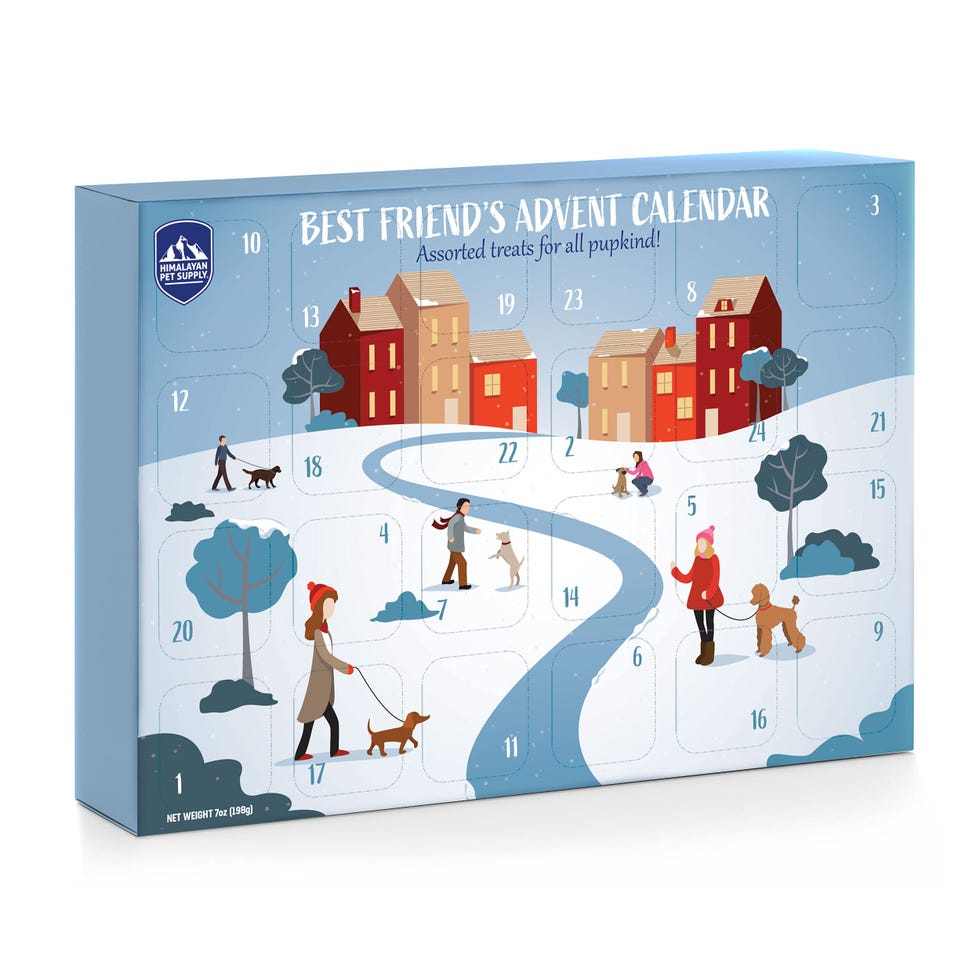 10 Best Pet Advent Calendars of 2025