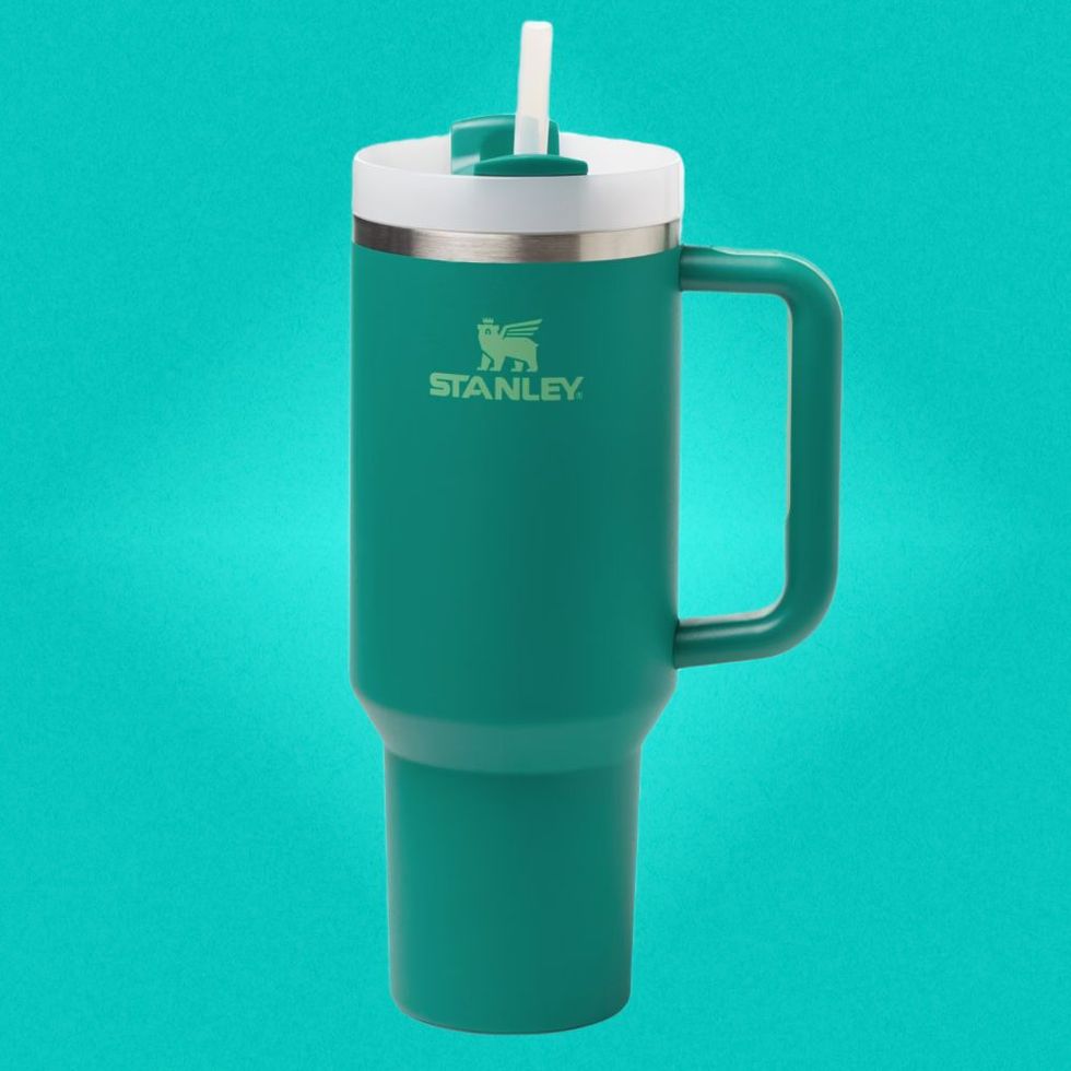 No Barks Given - 40oz Tumbler with Handle in 2023