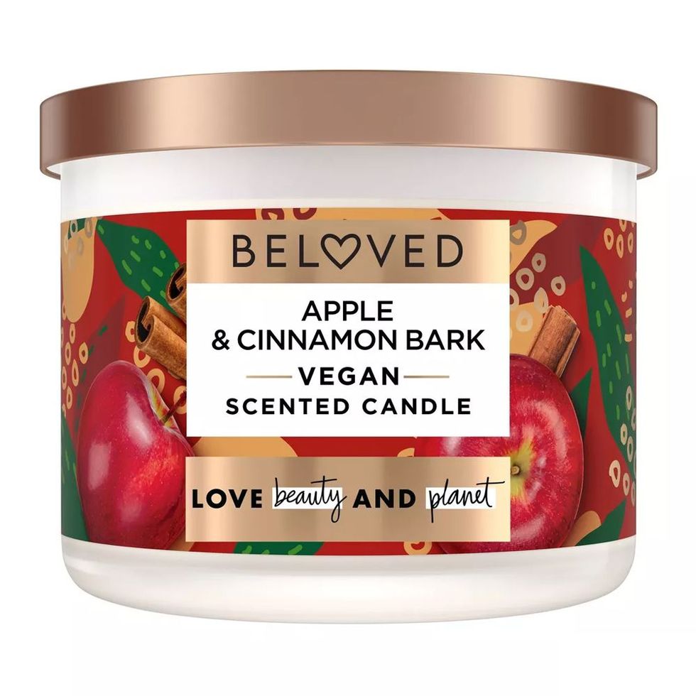 Apple and Cinnamon 2-Wick Candle