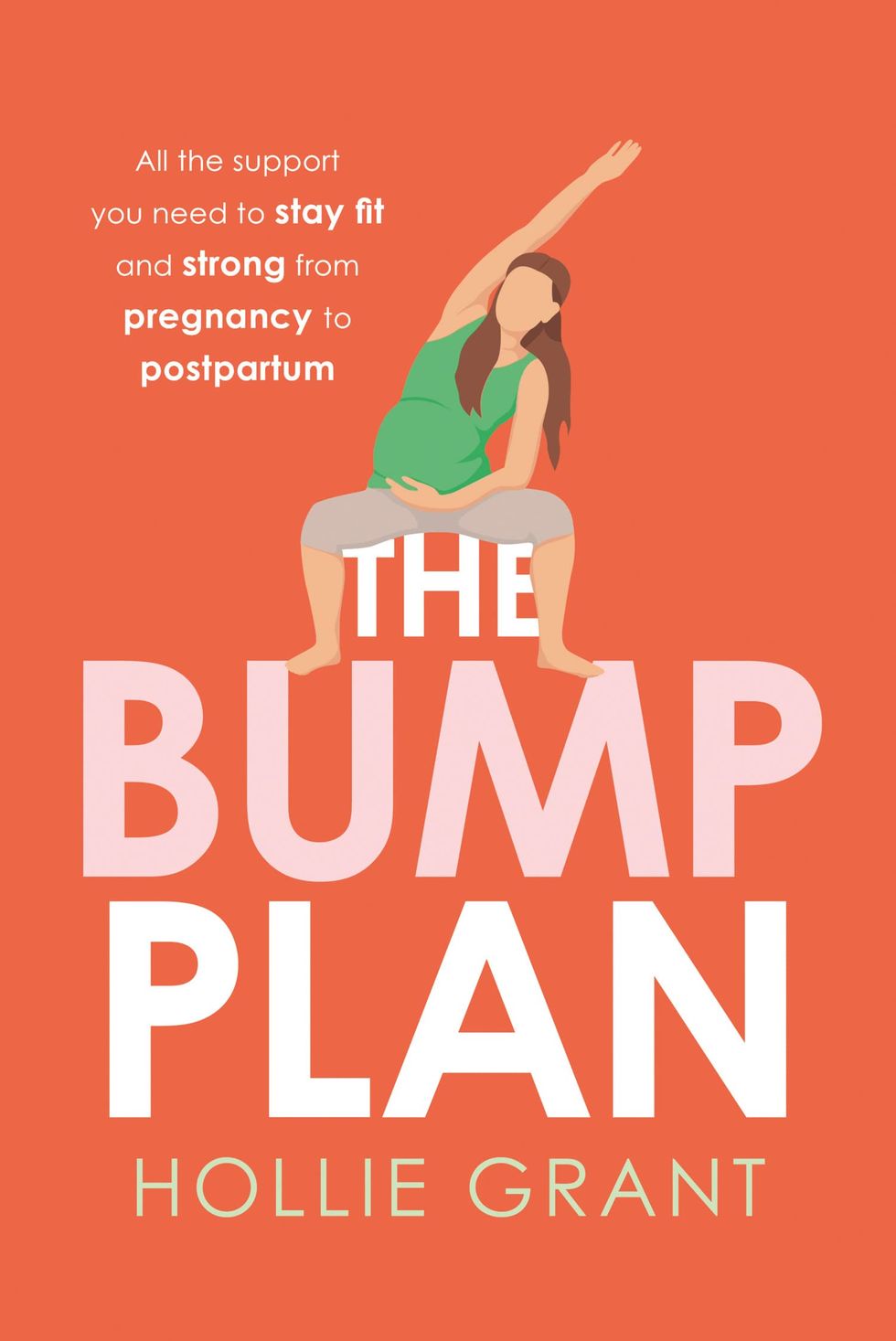 The Bump Plan by Hollie Grant