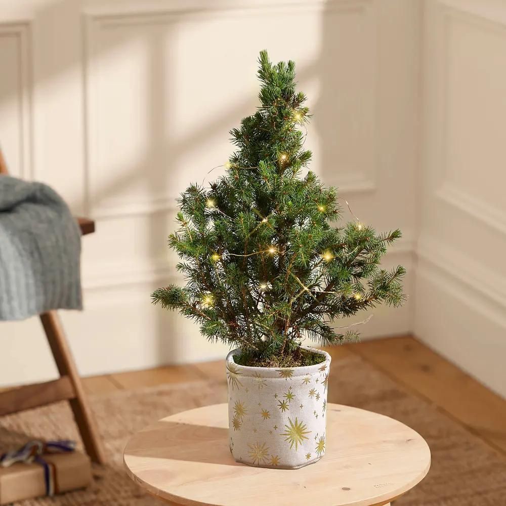 Realistic small best sale artificial christmas trees